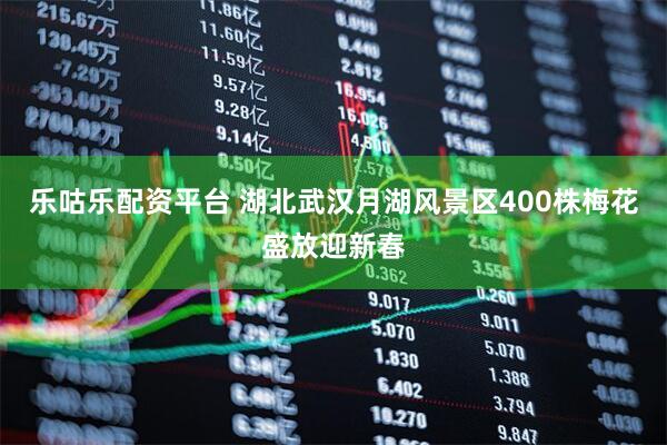 乐咕乐配资平台 湖北武汉月湖风景区400株梅花盛放迎新春