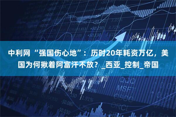 中利网 “强国伤心地”：历时20年耗资万亿，美国为何揪着阿富汗不放？_西亚_控制_帝国