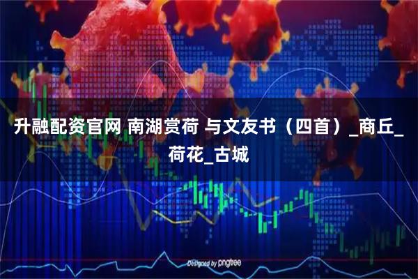 升融配资官网 南湖赏荷 与文友书（四首）_商丘_荷花_古城
