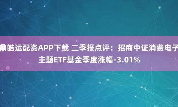 鼎皓运配资APP下载 二季报点评：招商中证消费电子主题ETF基金季度涨幅-3.01%