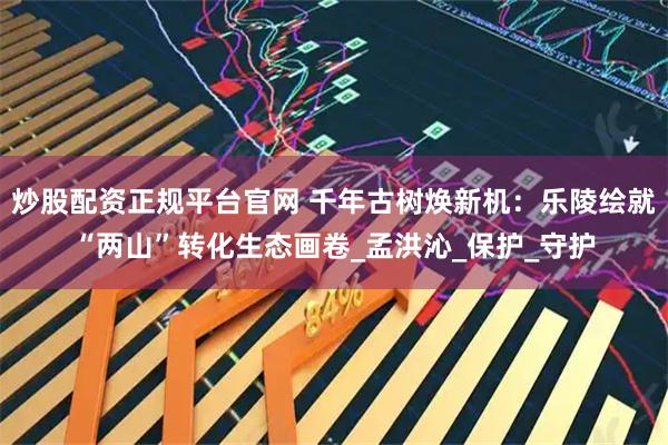 炒股配资正规平台官网 千年古树焕新机：乐陵绘就“两山”转化生态画卷_孟洪沁_保护_守护