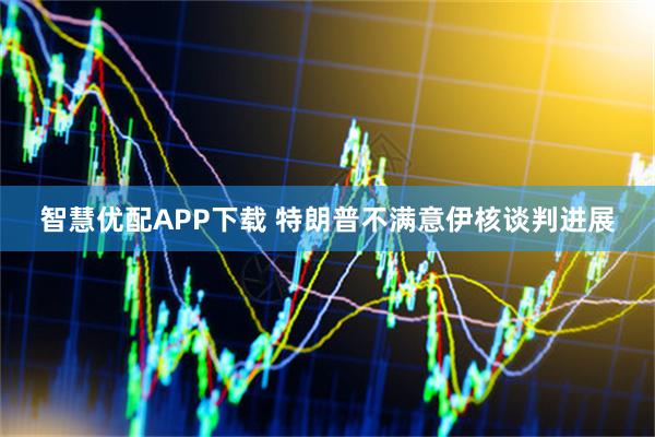 智慧优配APP下载 特朗普不满意伊核谈判进展