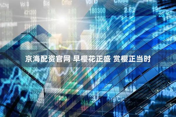 京海配资官网 早樱花正盛 赏樱正当时