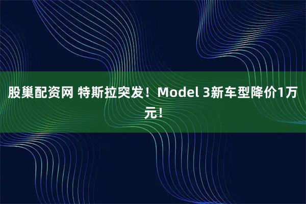 股巢配资网 特斯拉突发！Model 3新车型降价1万元！